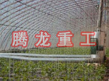 大棚花卉供暖設(shè)備、大棚卉采暖設(shè)備、大棚花卉取暖設(shè)備